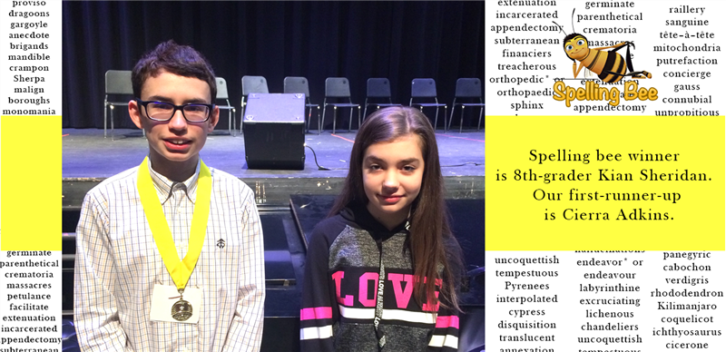 spelling bee 